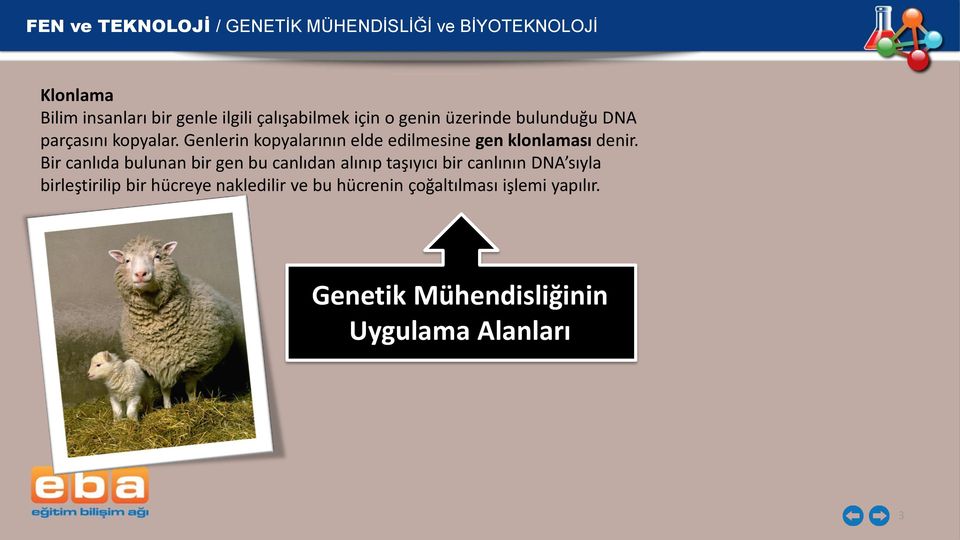 Bir canlıda bulunan bir gen bu canlıdan alınıp taşıyıcı bir canlının DNA sıyla birleştirilip