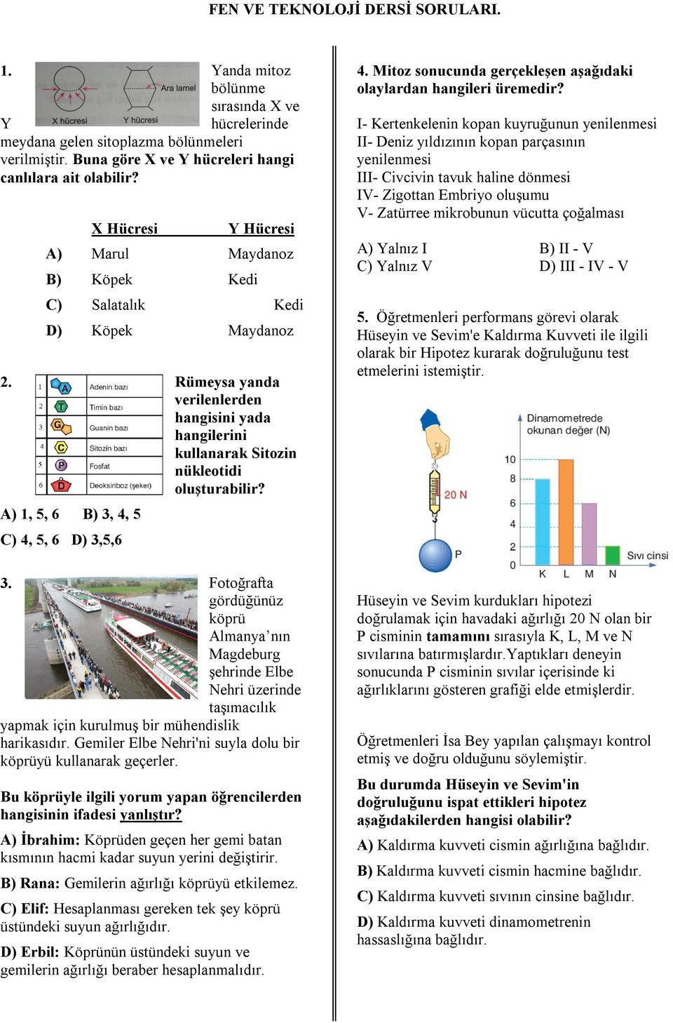 A) 1, 5, 6 Kedi Maydanoz Rümeysa yanda verilenlerden hangisini yada hangilerini kullanarak Sitozin nükleotidi oluşturabilir? 4. Mitoz sonucunda gerçekleşen aşağıdaki olaylardan hangileri üremedir?