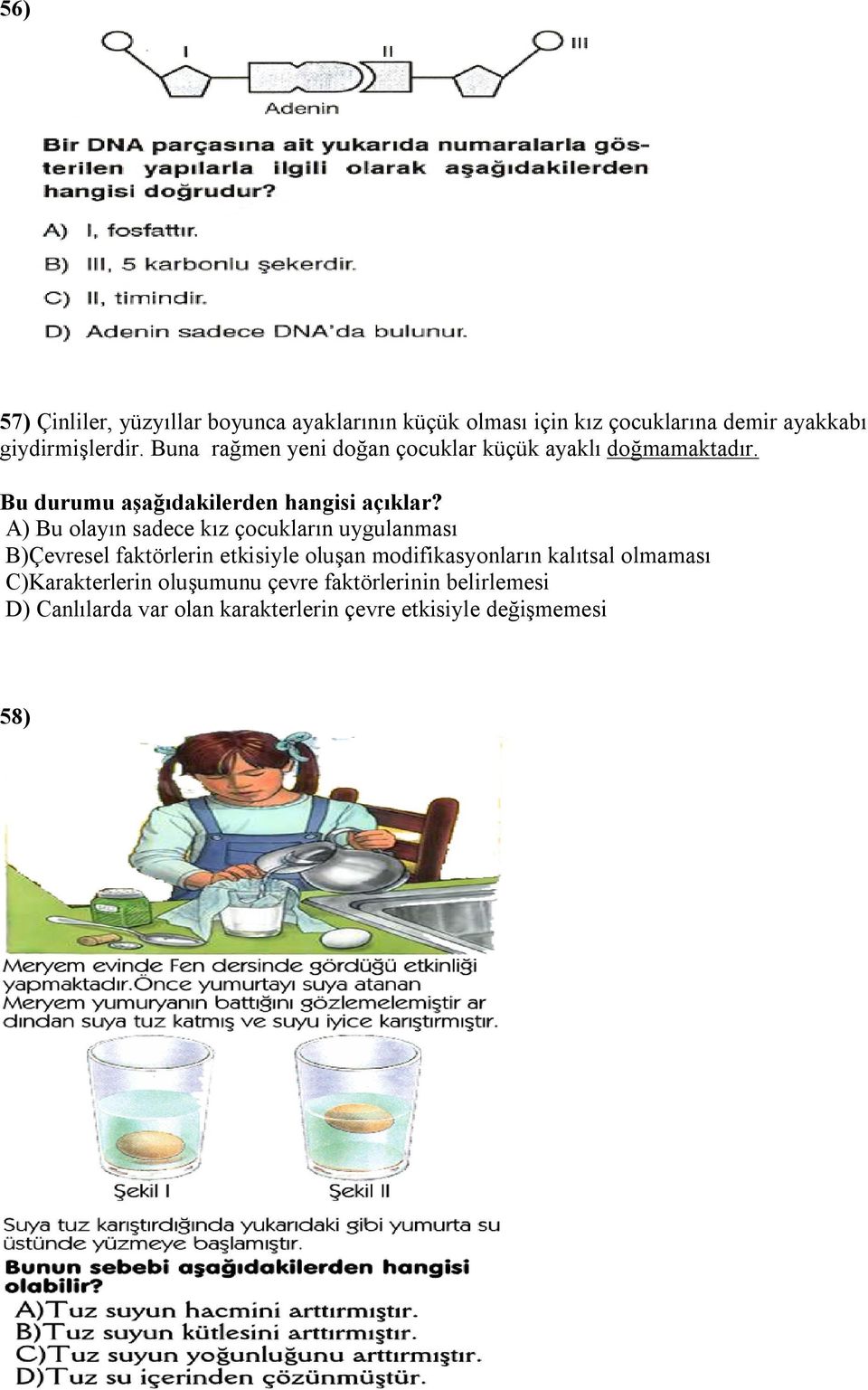 A) Bu olayın sadece kız çocukların uygulanması B)Çevresel faktörlerin etkisiyle oluşan modifikasyonların kalıtsal