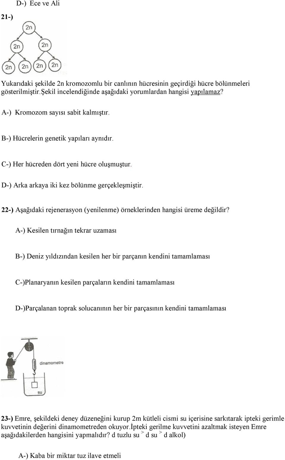 22-) Aşağıdaki rejenerasyon (yenilenme) örneklerinden hangisi üreme değildir?