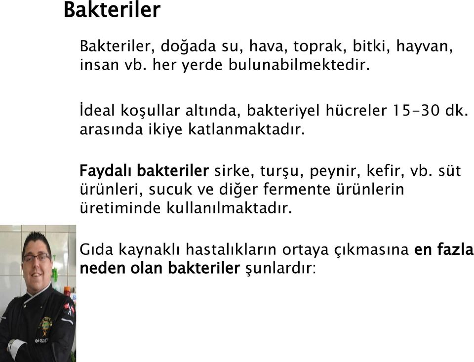 Faydalı bakteriler sirke, turşu, peynir, kefir, vb.