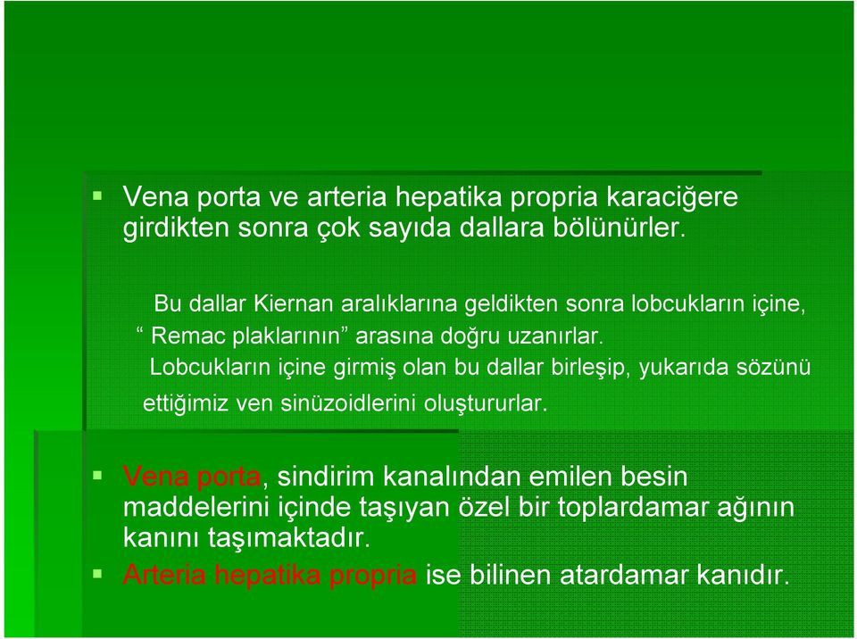 Lobcukların içine girmiş olan bu dallar birleşip, yukarıda sözünü ettiğimiz ven sinüzoidlerini oluştururlar.