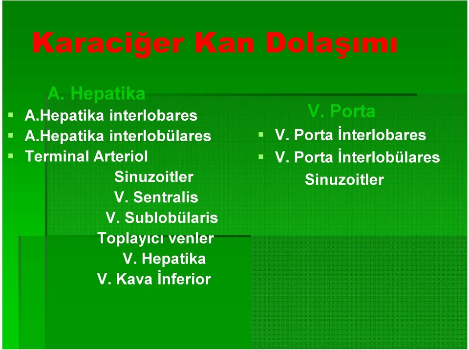 Sentralis V. Sublobülaris Toplayıcı venler V. Hepatika V.