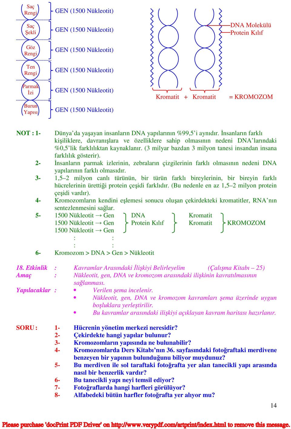 İnsanların farklı kişiliklere, davranışlara ve özelliklere sahip olmasının nedeni DNA larındaki %0,5 lik farklılıktan kaynaklanır. (3 milyar bazdan 3 milyon tanesi insandan insana farklılık gösterir).