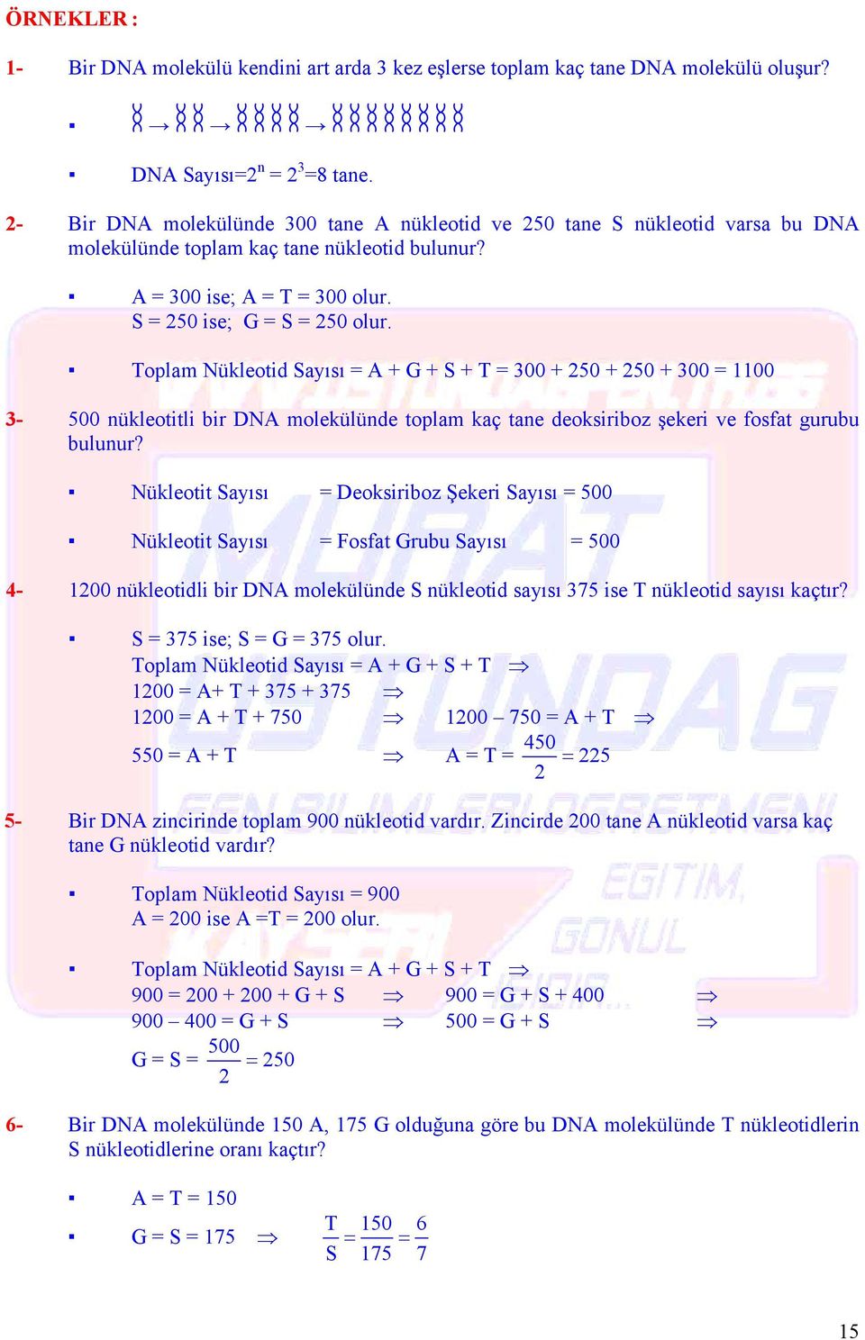 oplam Nükleotid ayısı = + + + = 300 + 250 + 250 + 300 = 1100 3-500 nükleotitli bir N molekülünde toplam kaç tane deoksiriboz şekeri ve fosfat gurubu bulunur?