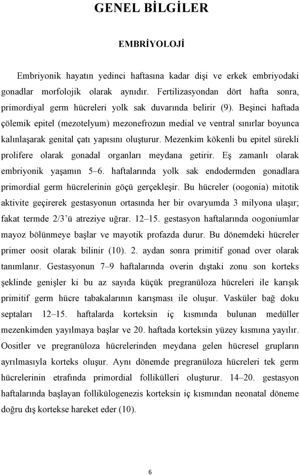 Beşinci haftada çölemik epitel (mezotelyum) mezonefrozun medial ve ventral sınırlar boyunca kalınlaşarak genital çatı yapısını oluşturur.