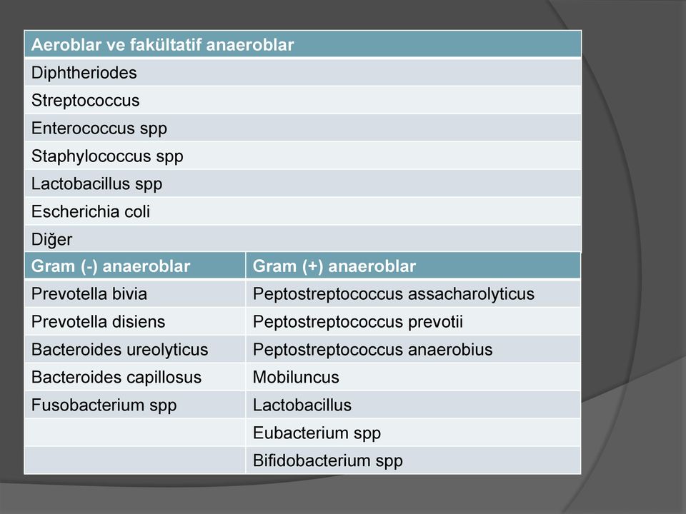 Peptostreptococcus assacharolyticus Prevotella disiens Peptostreptococcus prevotii Bacteroides ureolyticus