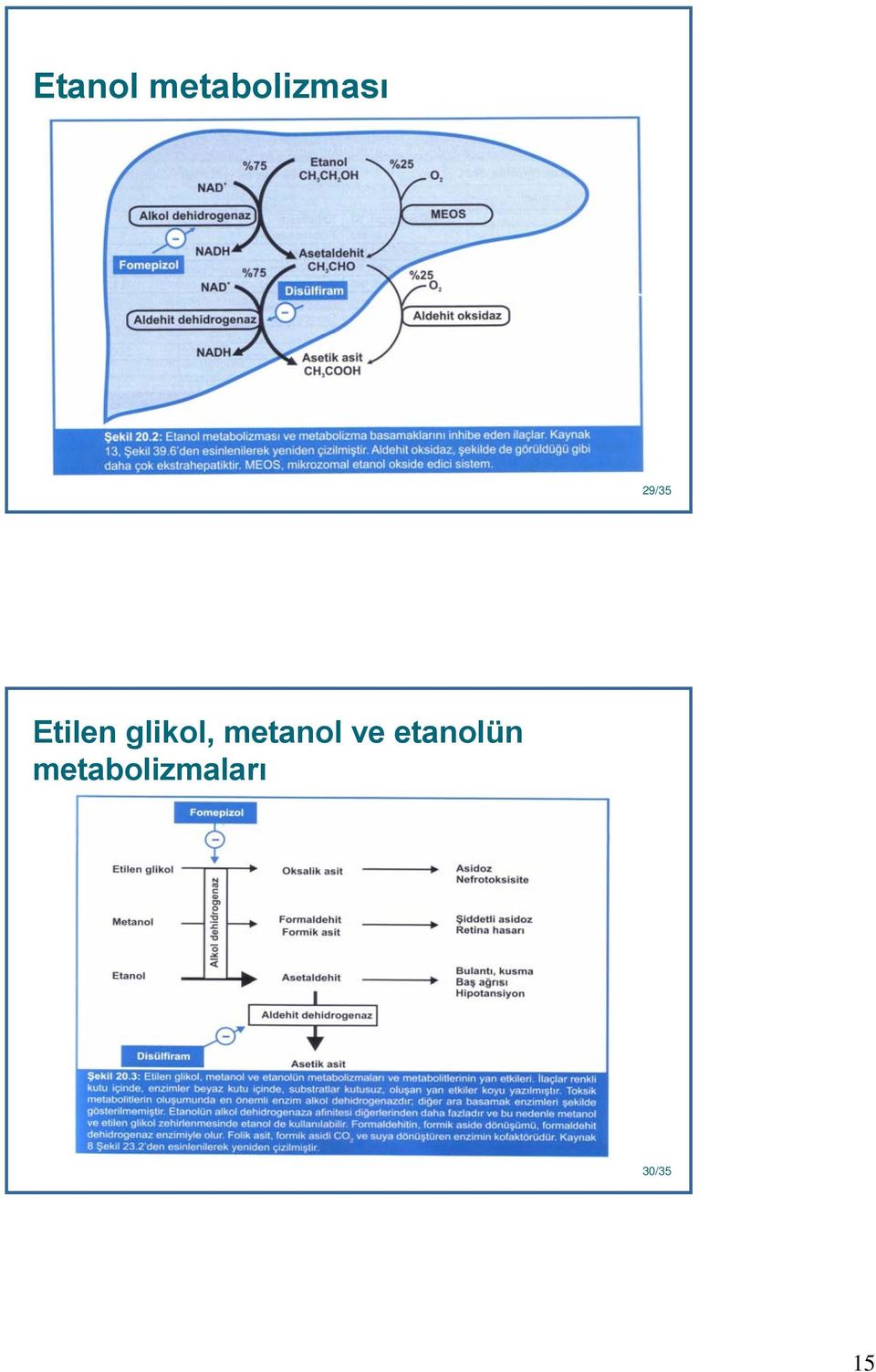 glikol, metanol ve