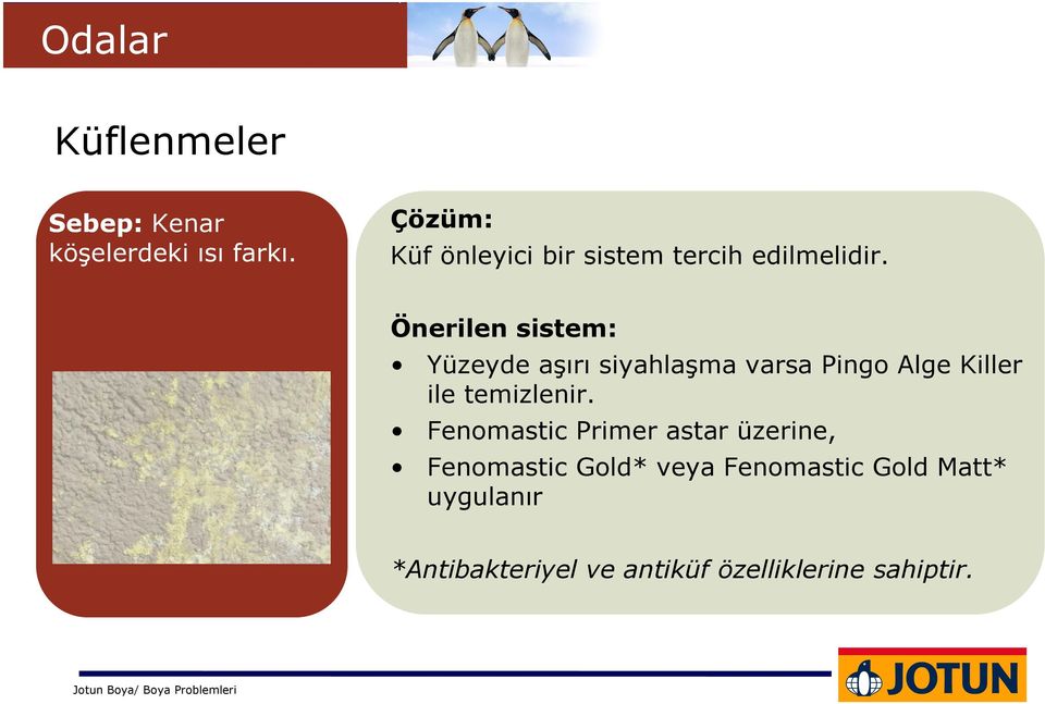 Yüzeyde aşırı siyahlaşma varsa Pingo Alge Killer ile temizlenir.