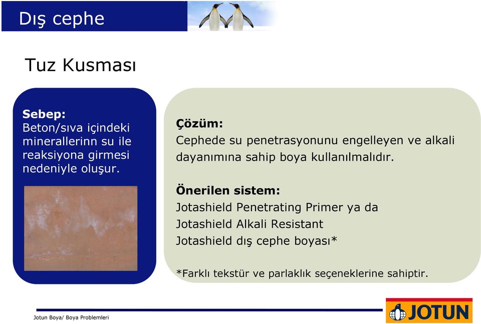 Cephede su penetrasyonunu engelleyen ve alkali dayanımına sahip boya kullanılmalıdır.