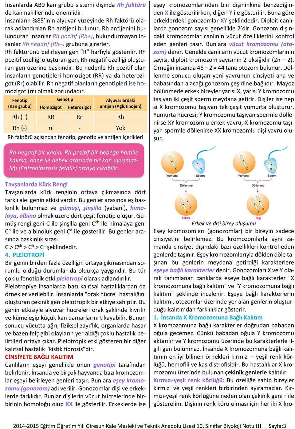 Rh pozitif özelliği oluşturan gen, Rh negatif özelliği oluşturan gen üzerine baskındır. Bu nedenle Rh pozitif olan insanların genotipleri homozigot (RR) ya da heterozigot (Rr) olabilir.