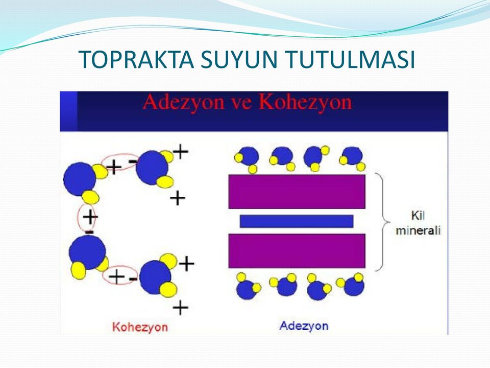 TUTULMASI