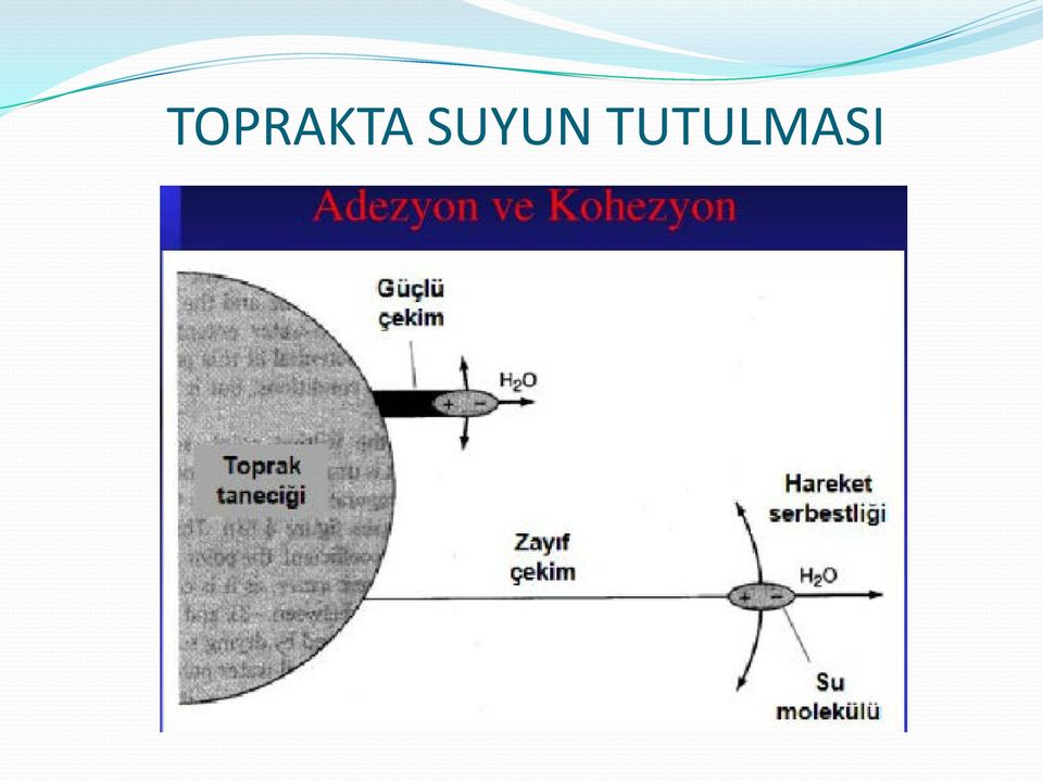 TUTULMASI