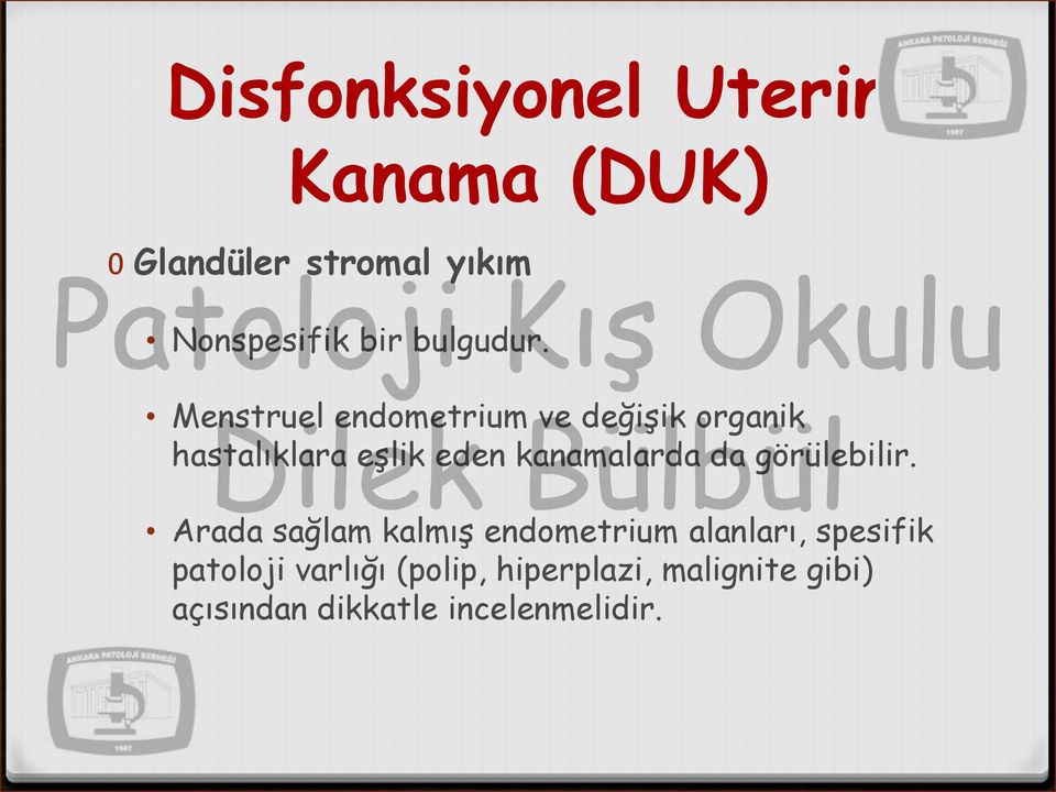 Menstruel endometrium ve değişik organik hastalıklara eşlik eden kanamalarda da