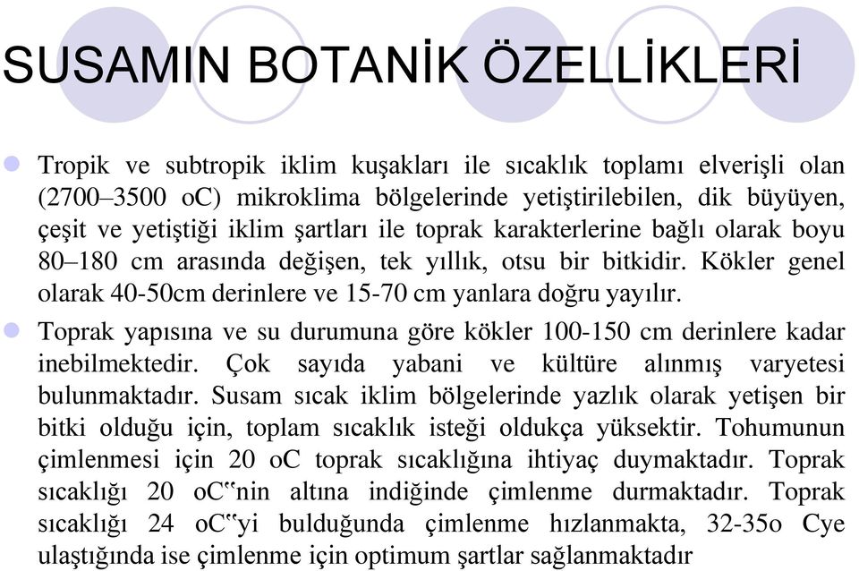 Toprak yapısına ve su durumuna göre kökler 100-150 cm derinlere kadar inebilmektedir. Çok sayıda yabani ve kültüre alınmış varyetesi bulunmaktadır.