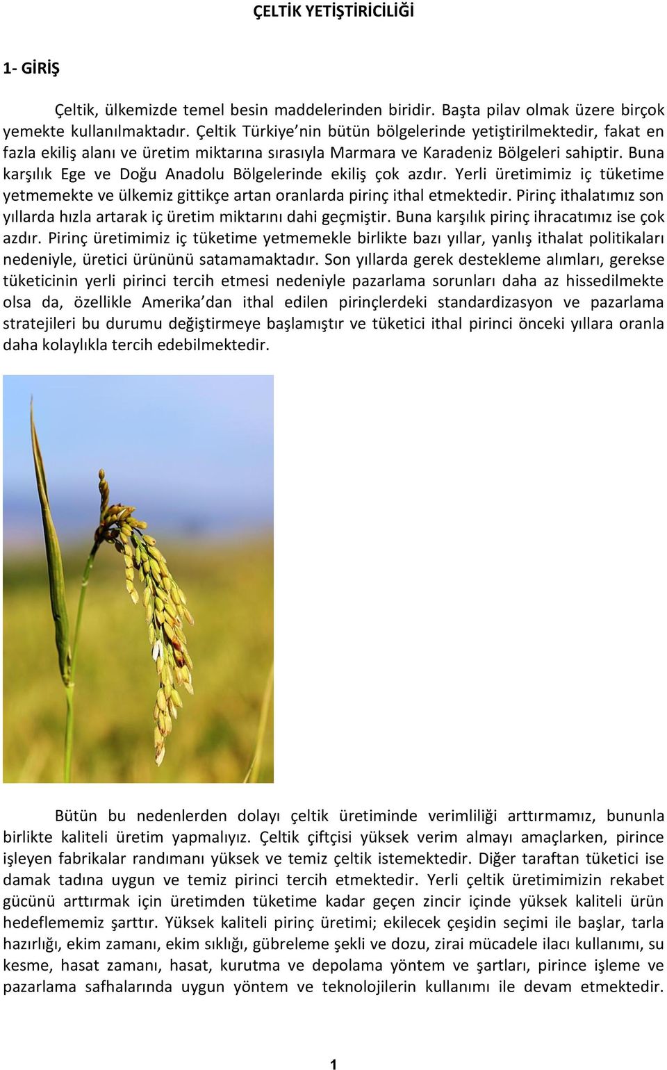 Buna karşılık Ege ve Doğu Anadolu Bölgelerinde ekiliş çok azdır. Yerli üretimimiz iç tüketime yetmemekte ve ülkemiz gittikçe artan oranlarda pirinç ithal etmektedir.