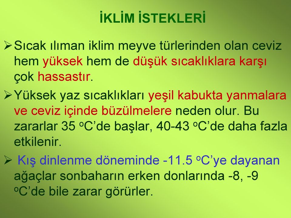 Yüksek yaz sıcaklıkları yeşil kabukta yanmalara ve ceviz içinde büzülmelere neden olur.