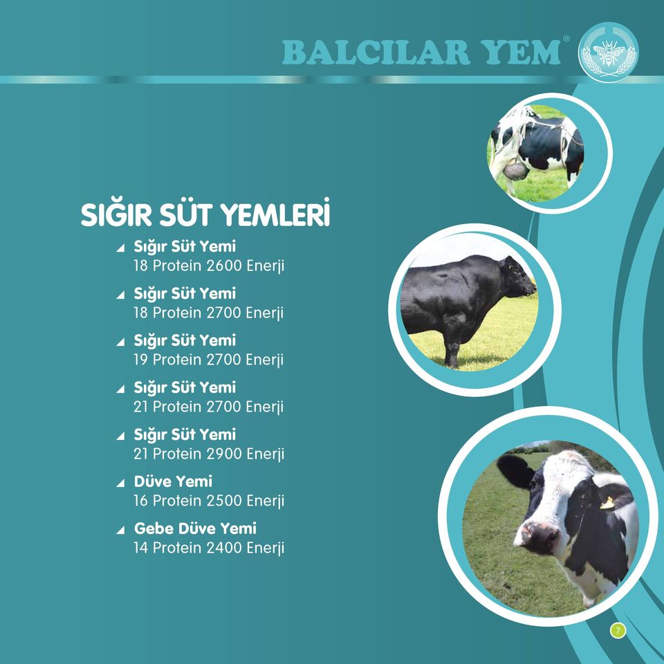 Sığır Süt Yemi 21 Protein 2700 Enerji Sığır Süt Yemi 21 Protein 2900