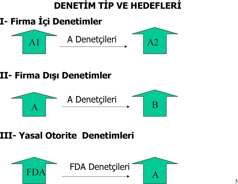 Dışı Denetimler A A Denetçileri B III-