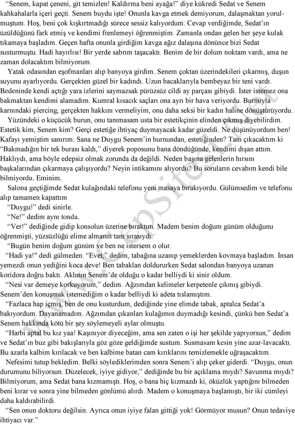 Geçen hafta onunla girdiğim kavga ağız dalaşına dönünce bizi Sedat susturmuştu. Hadi hayırlısı! Bir yerde sabrım taşacaktı. Benim de bir dolum noktam vardı, ama ne zaman dolacaktım bilmiyorum.