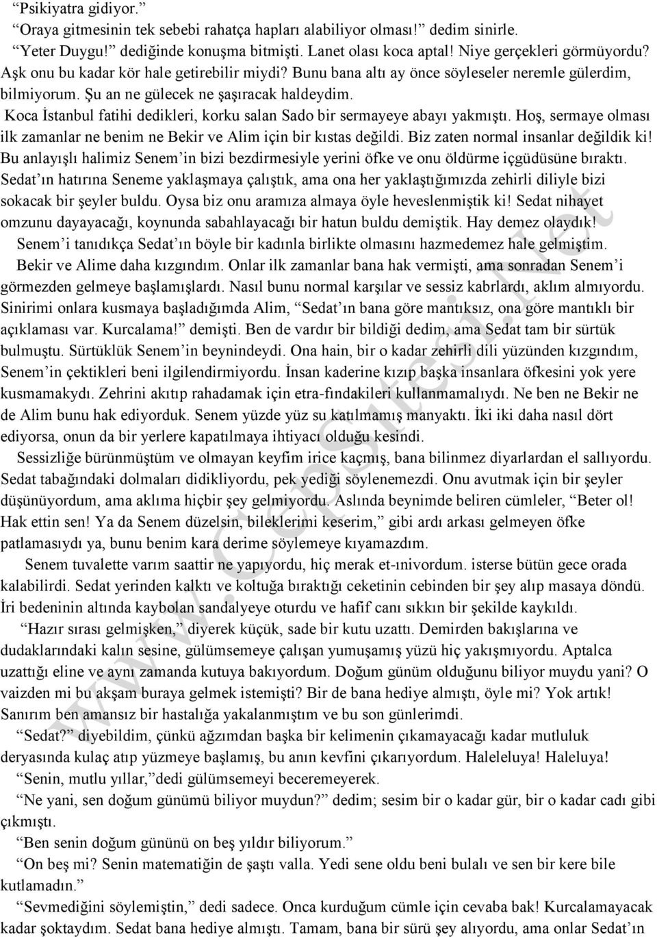 Koca İstanbul fatihi dedikleri, korku salan Sado bir sermayeye abayı yakmıştı. Hoş, sermaye olması ilk zamanlar ne benim ne Bekir ve Alim için bir kıstas değildi.