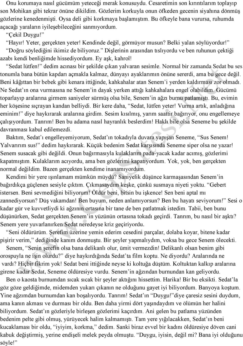 Çekil Duygu! Hayır! Yeter, gerçekten yeter! Kendinde değil, görmüyor musun? Belki yalan söylüyordur! Doğru söylediğini ikimiz de biliyoruz.