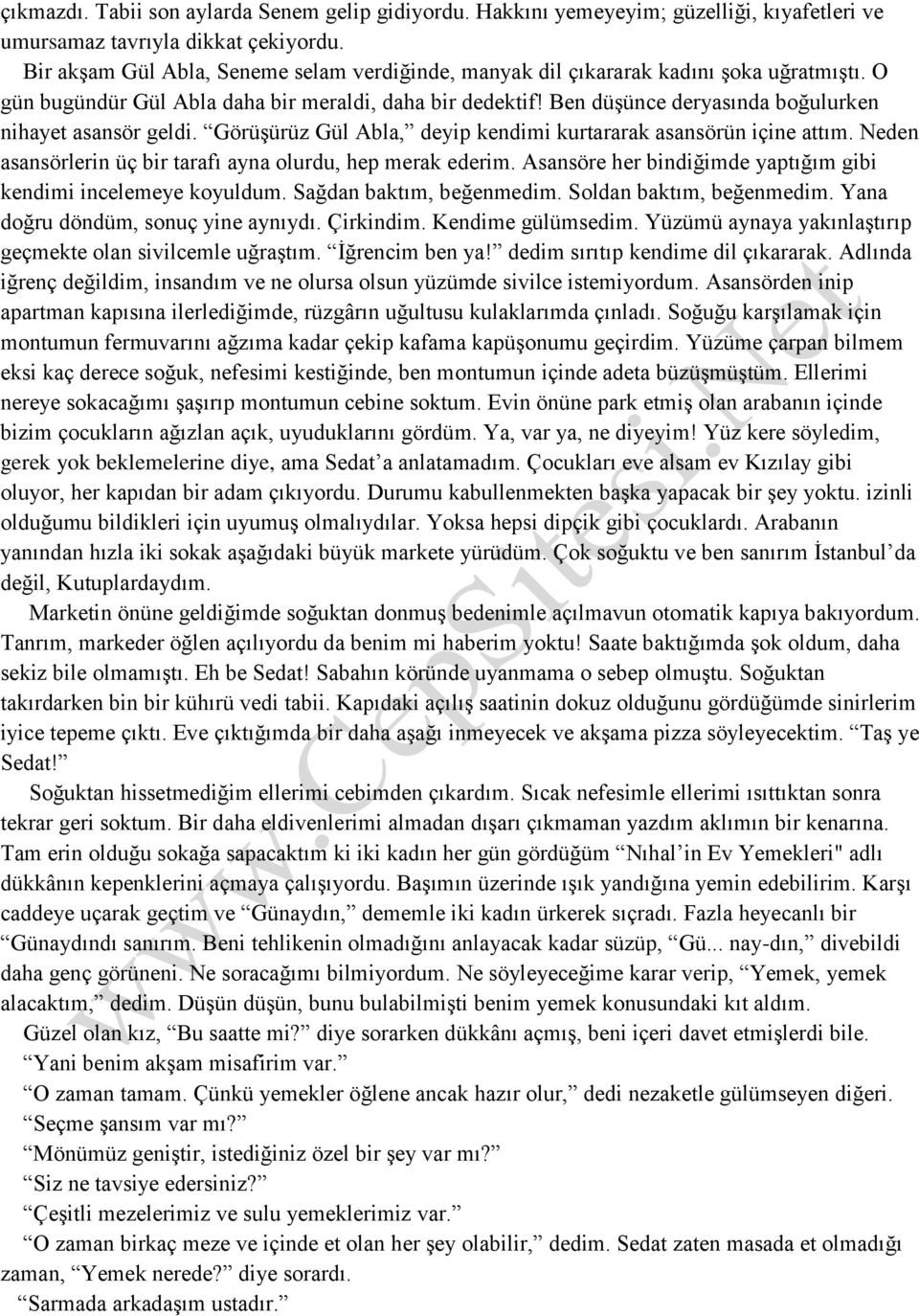 Ben düşünce deryasında boğulurken nihayet asansör geldi. Görüşürüz Gül Abla, deyip kendimi kurtararak asansörün içine attım. Neden asansörlerin üç bir tarafı ayna olurdu, hep merak ederim.