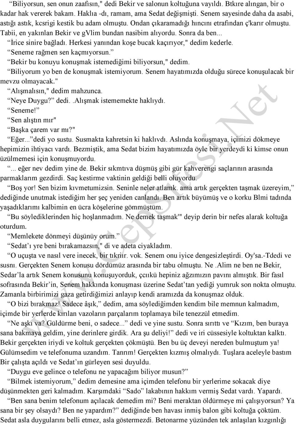 Sonra da ben... İrice sinire bağladı. Herkesi yanından koşe bucak kaçırıyor," dedim kederle. Seneme rağmen sen kaçmıyorsun. Bekir bu konuyu konuşmak istemediğimi biliyorsun," dedim.