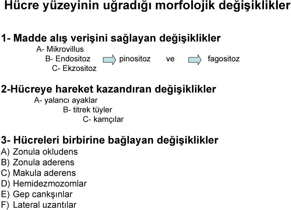 değiģiklikler A- yalancı ayaklar B- titrek tüyler C- kamçılar 3- Hücreleri birbirine bağlayan