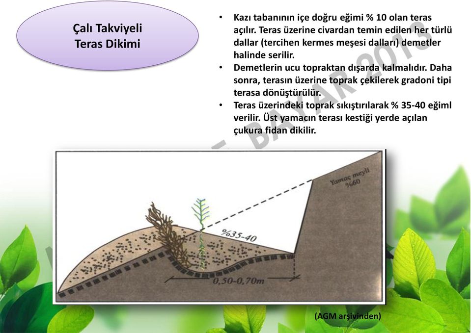 Demetlerin ucu topraktan dışarda kalmalıdır.