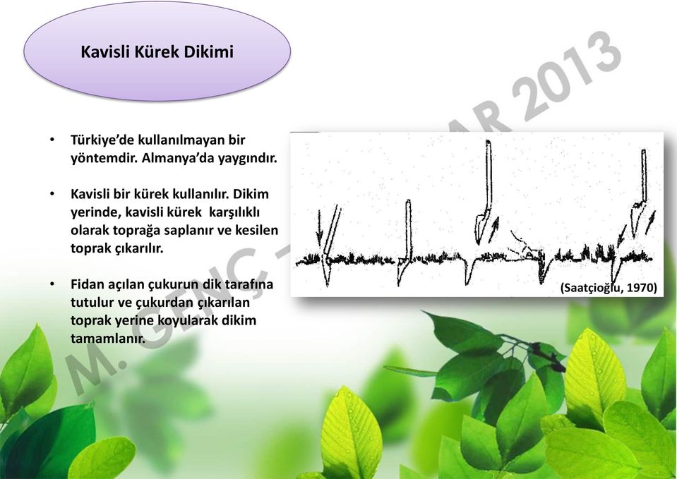 Dikim yerinde, kavisli kürek karşılıklı olarak toprağa saplanır ve kesilen toprak