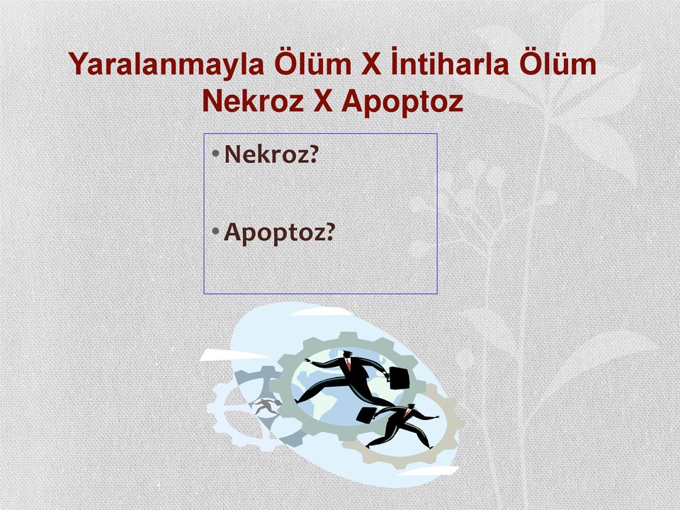 Ölüm Nekroz X