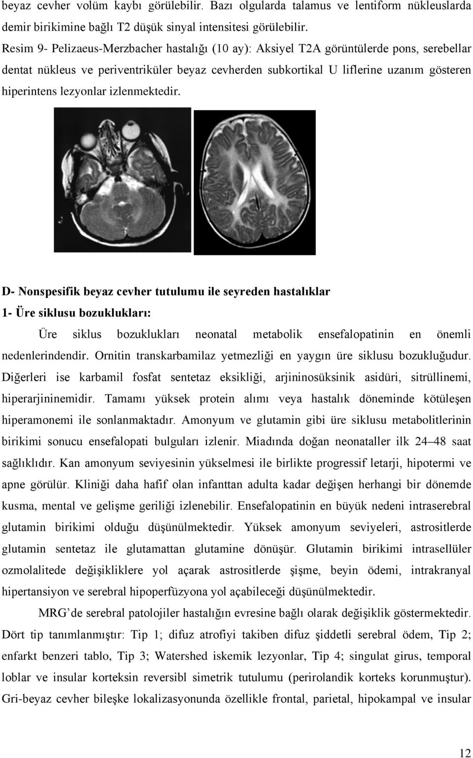 lezyonlar izlenmektedir.