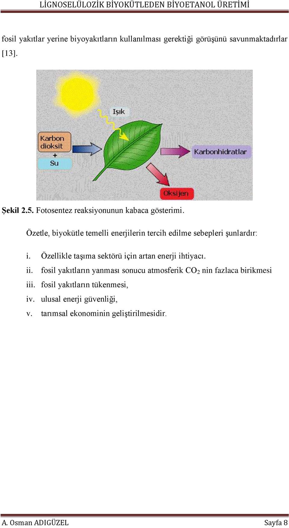 Özellikle taşıma sektörü için artan enerji ihtiyacı. ii.