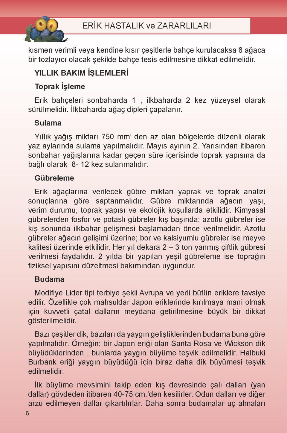 Sulama Yıllık yağış miktarı 750 mm den az olan bölgelerde düzenli olarak yaz aylarında sulama yapılmalıdır. Mayıs ayının 2.