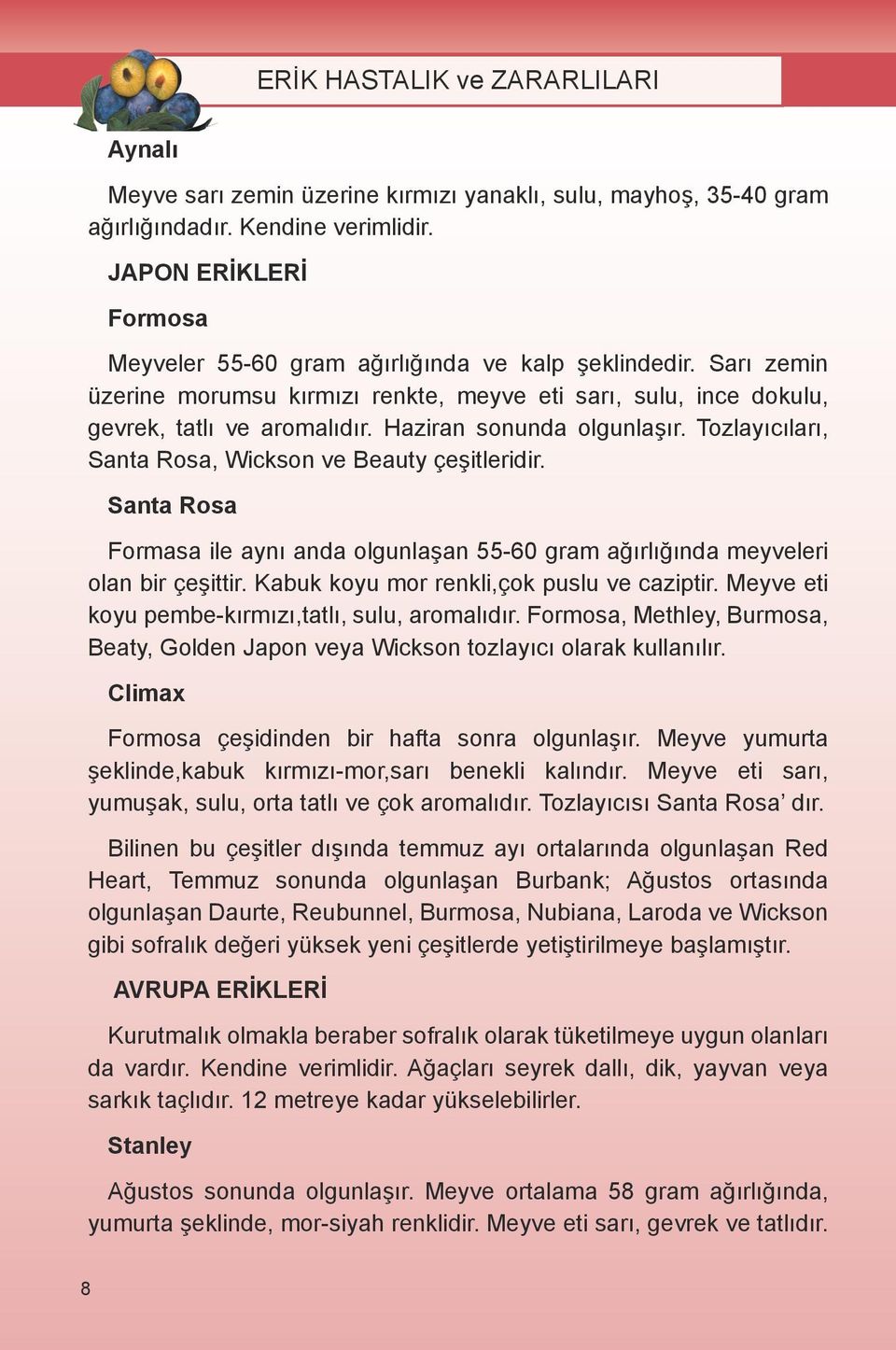 Santa Rosa Formasa ile aynı anda olgunlaşan 55-60 gram ağırlığında meyveleri olan bir çeşittir. Kabuk koyu mor renkli,çok puslu ve caziptir. Meyve eti koyu pembe-kırmızı,tatlı, sulu, aromalıdır.