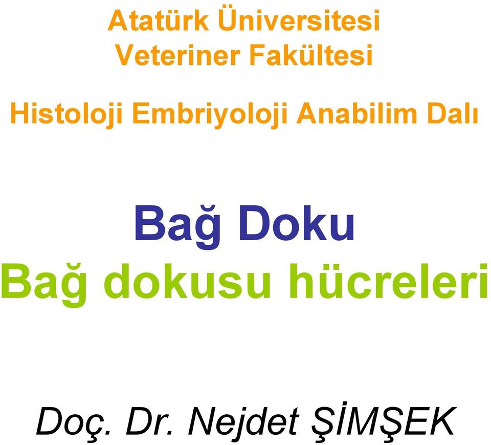 Anabilim Dalı Bağ Doku Bağ