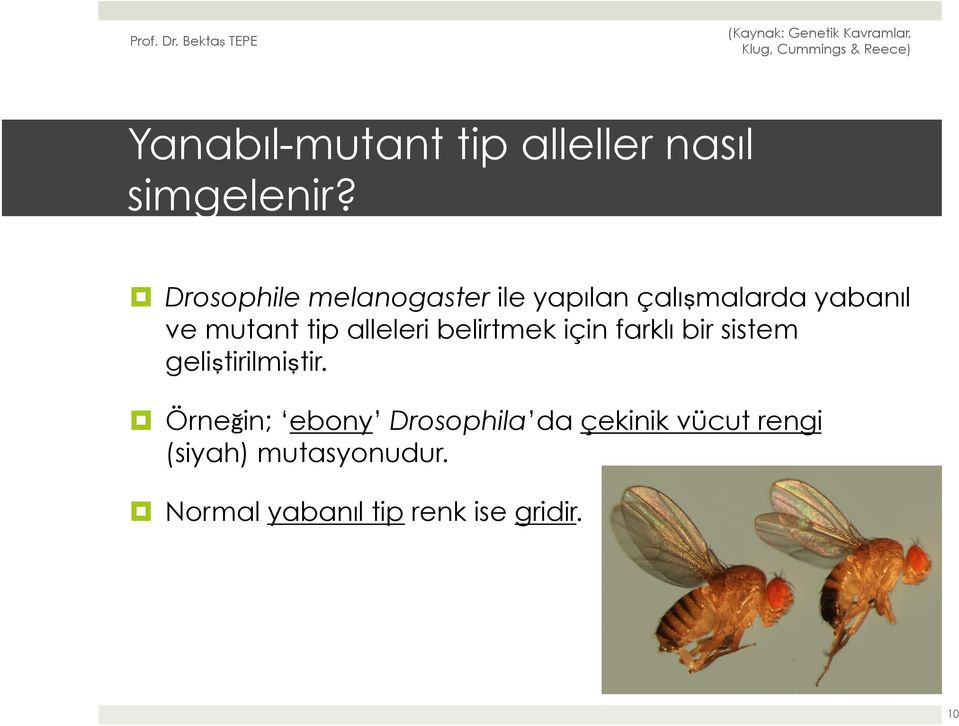 alleleri belirtmek için farklı bir sistem geliştirilmiştir.