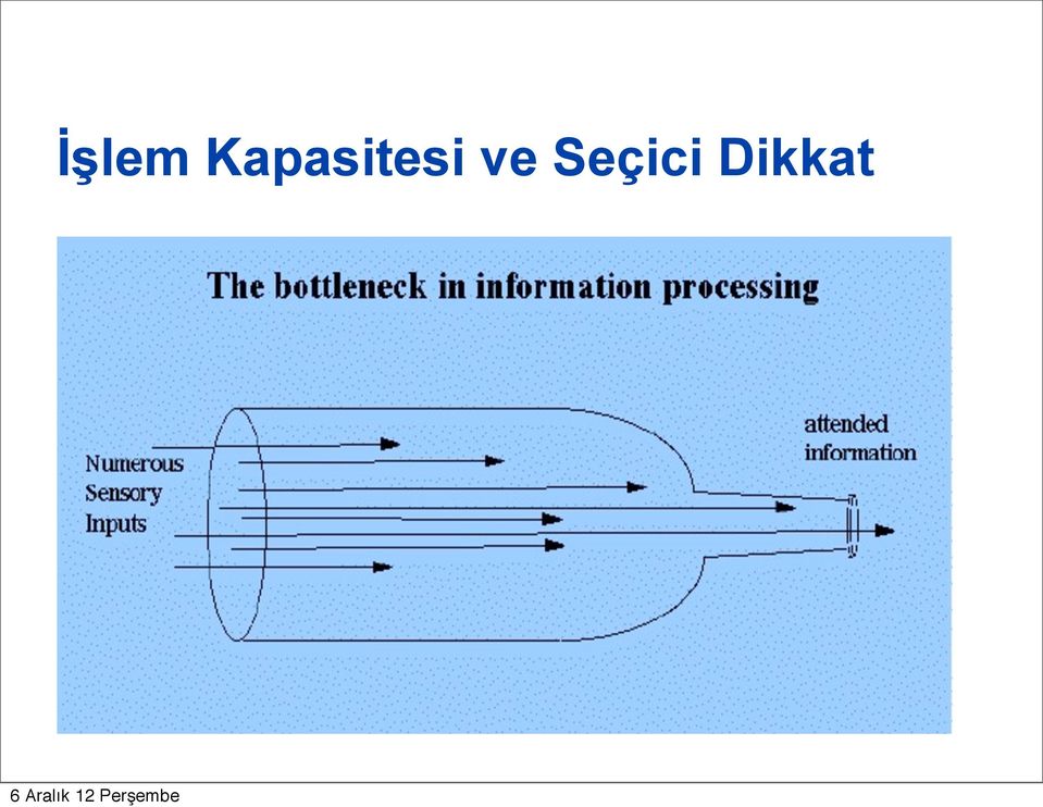 fenerle bakmak İlgimizi çekenlere tepki