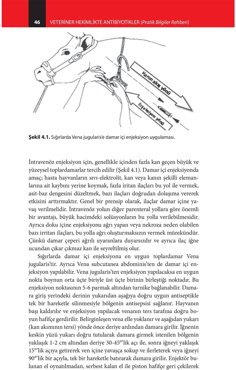 Damar içi enjeksiyonda amaç; hasta hayvanların sıvı-elektrolit, kan veya kanın şekilli elemanlarına ait kaybını yerine koymak, fazla iritan ilaçları bu yol ile vermek, asit-baz dengesini düzeltmek,