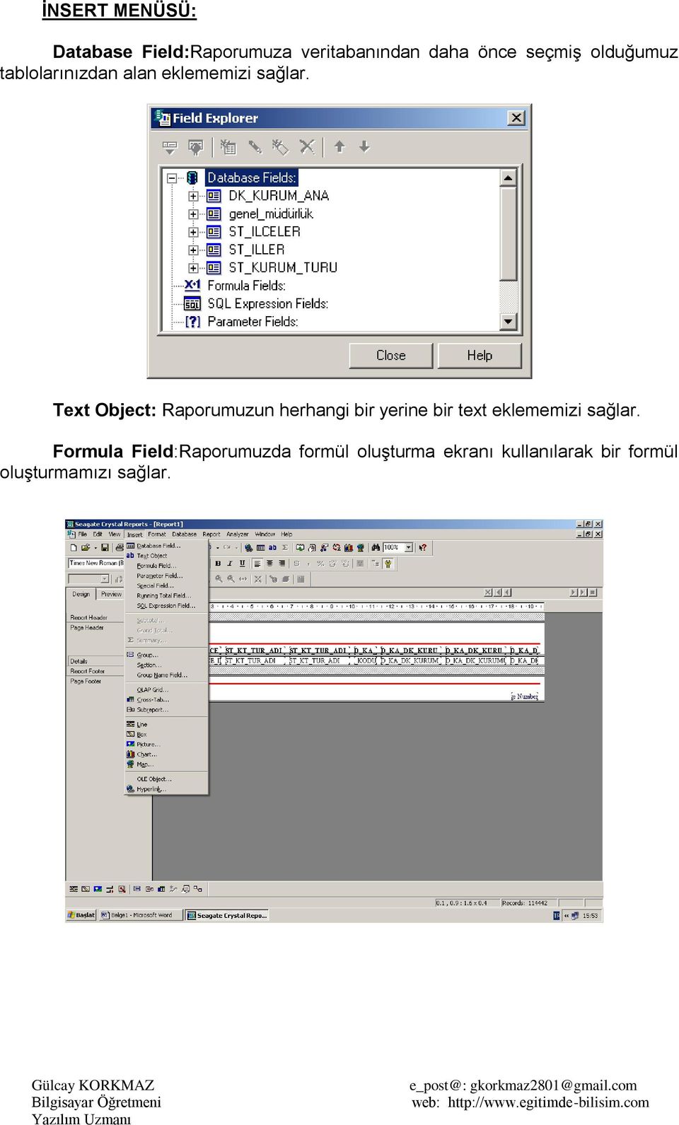 Text Object: Raporumuzun herhangi bir yerine bir text eklememizi sağlar.