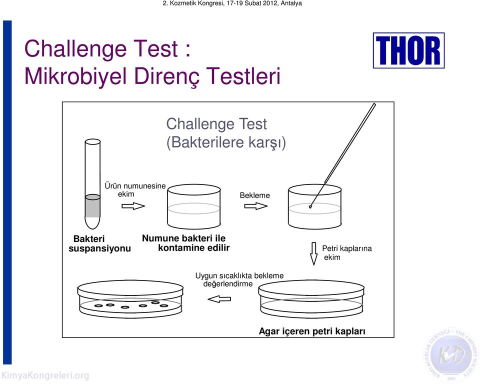 suspansiyonu Numune bakteri ile kontamine edilir Uygun