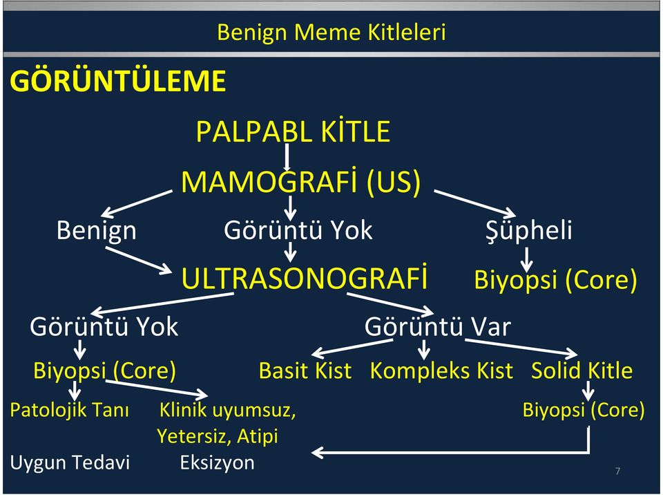 GörüntüVar Biyopsi (Core) Basit Kist Kompleks Kist Solid Kitle