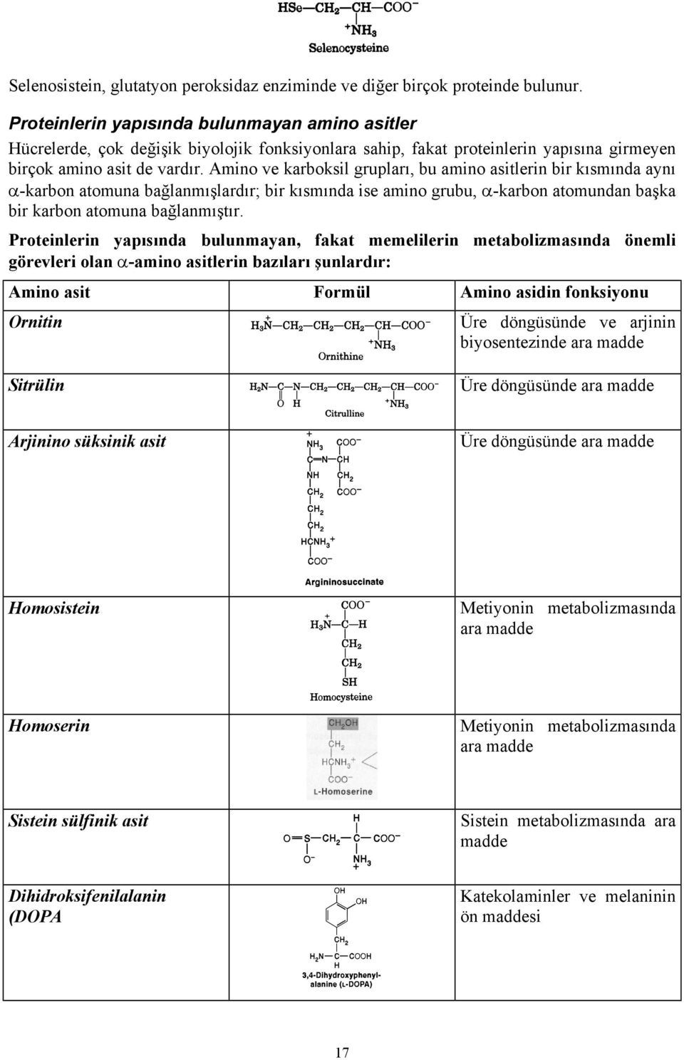 Amino ve karboksil grupları, bu amino asitlerin bir kısmında aynı α-karbon atomuna bağlanmışlardır; bir kısmında ise amino grubu, α-karbon atomundan başka bir karbon atomuna bağlanmıştır.