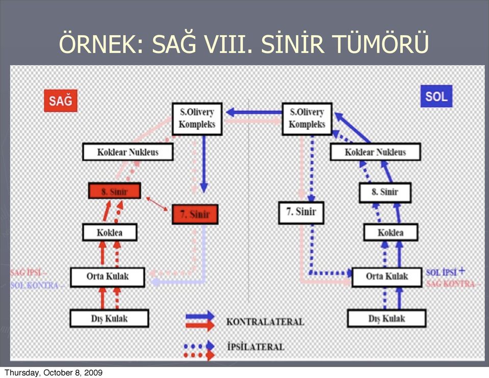 SİNİR