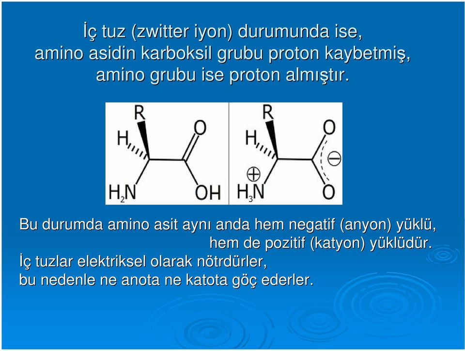 Bu durumda amino asit aynı anda hem negatif (anyon) yüklü, hem de pozitif