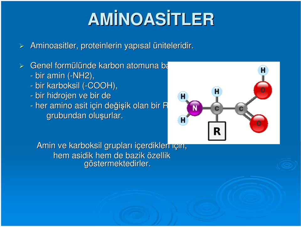 bir hidrojen ve bir de - her amino asit için i in değişik ik olan bir R grubundan