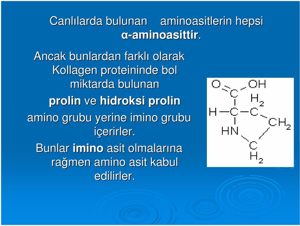 bulunan prolin ve hidroksi prolin amino grubu yerine imino grubu