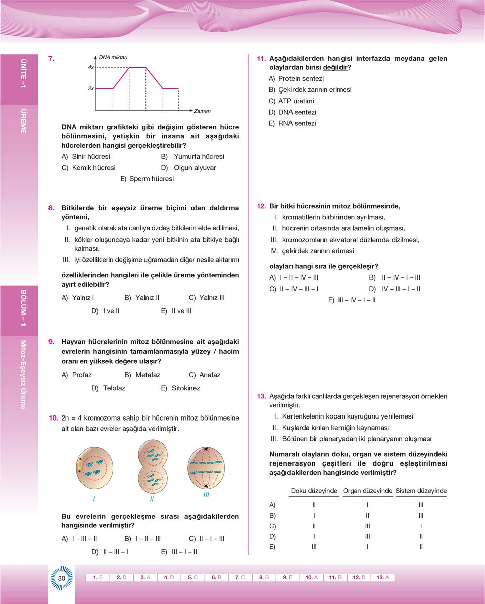 A) Sinir hücresi B) Yumurta hücresi C) Kemik hücresi D) Olgun alyuvar E) Sperm hücresi 8. Bitkilerde bir eşeysiz üreme biçimi olan daldırma yöntemi, I.