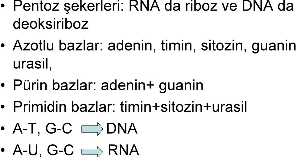 sitozin, guanin urasil, Pürin bazlar: adenin+